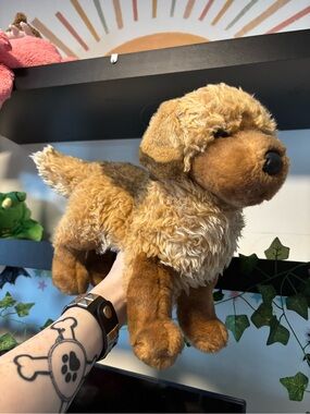 Matted, Custom Douglas / Bass pro golden retriever